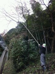 moblog_75d4a38a.jpg
