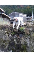 moblog_8bbbf9a9.jpg