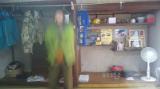 moblog_edcab68f.jpg
