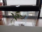 12062301.jpg