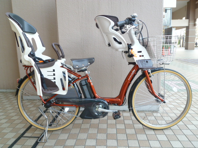 P1070354.jpg