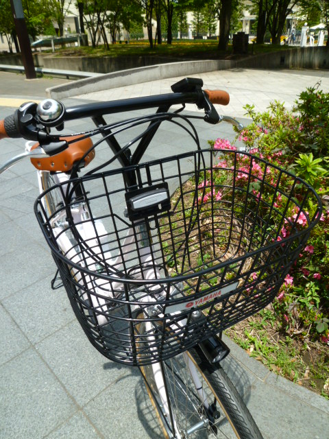 P1070416.jpg