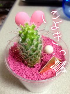 20120819.jpeg