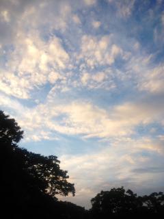 20120903.jpeg