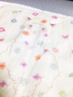 20130108.jpeg
