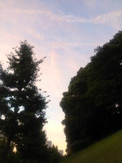 moblog_27a7bdd3.jpg