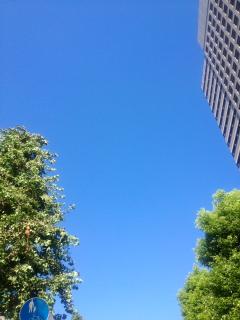 moblog_7e383ef6.jpg