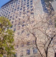 moblog_80ca30aa.jpg