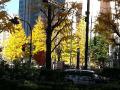 20121213_110225.jpg