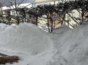 庭の雪