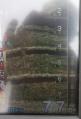 IMG_20120922_210647.jpg