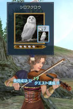 20120620_1.jpg