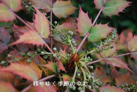 20140202hf1.jpg