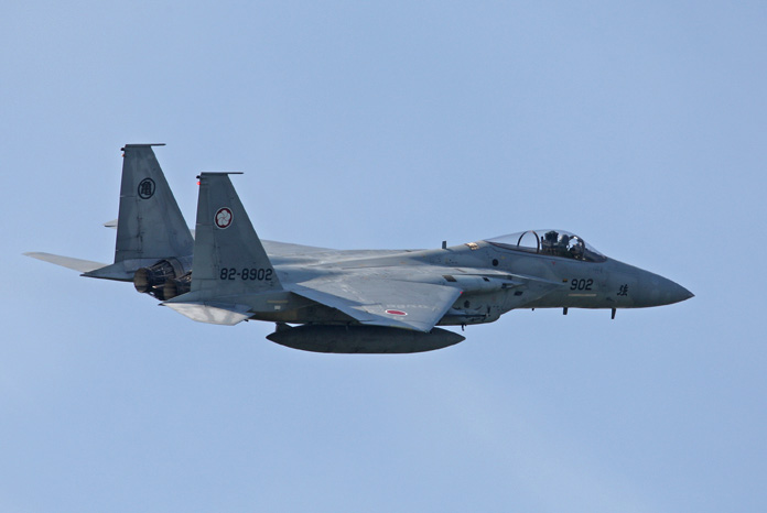 1DM30102.jpg