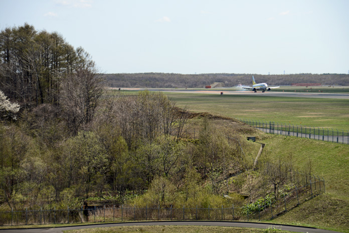 DSC_3952.jpg