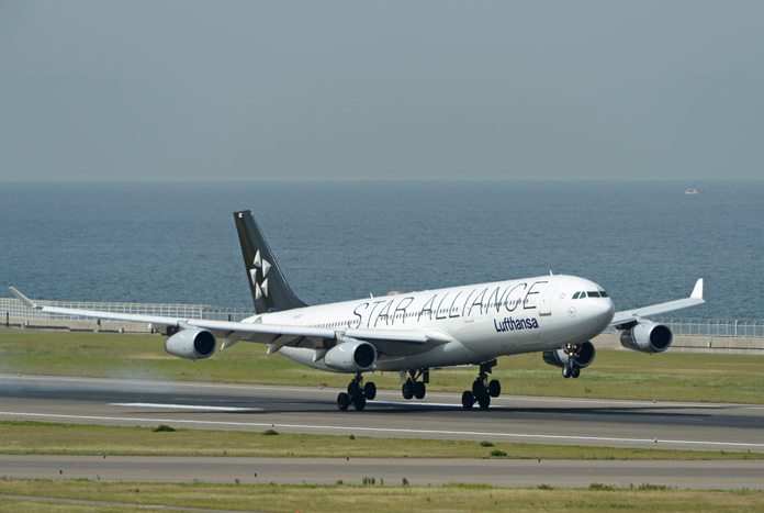DSC_8777.jpg