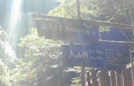赤目四十八滝②