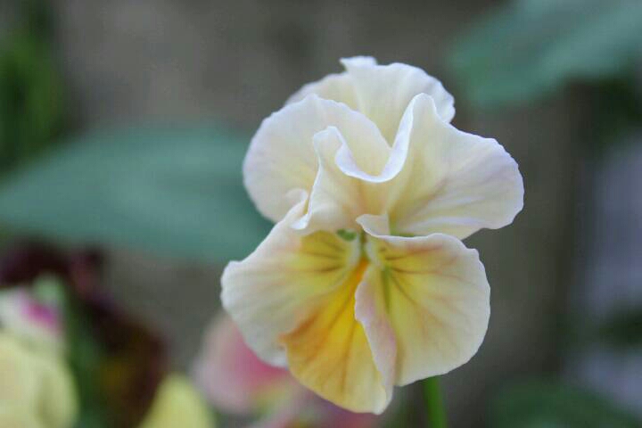 201411120104297d5.jpg