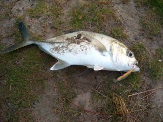 20102014 008