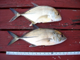 20102014 016