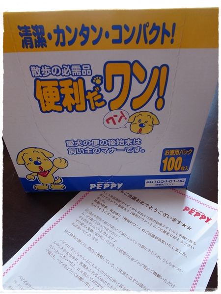 1204241.jpg