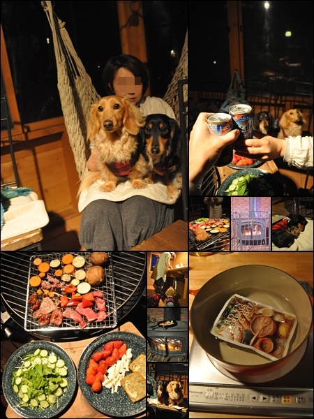 1204293.jpg