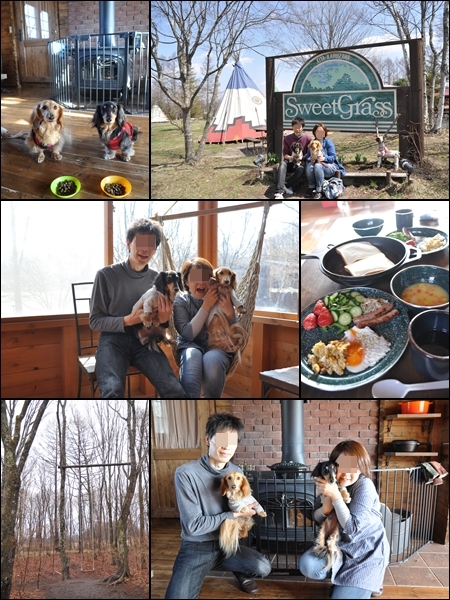 1205012.jpg