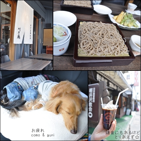 1205024.jpg