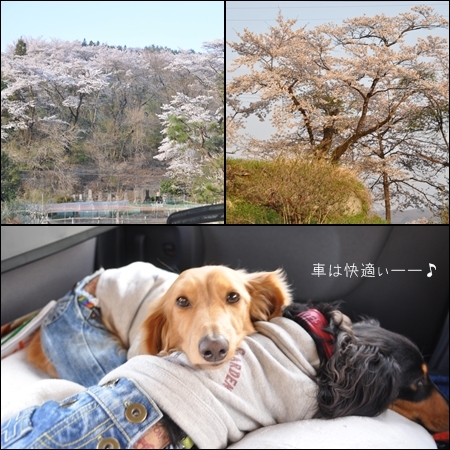 1205027.jpg