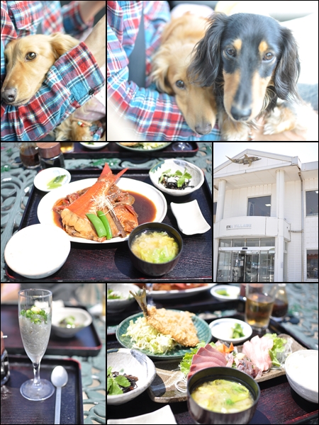 1205051.jpg