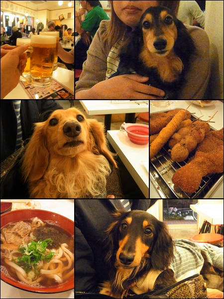 1205091.jpg