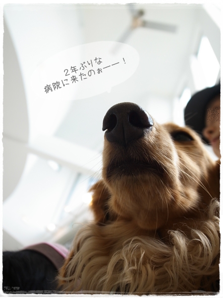 1205141.jpg
