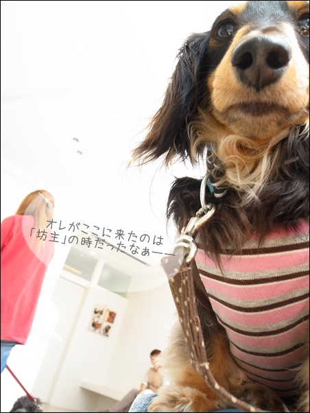 1205142.jpg