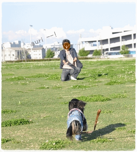 1205251.gif
