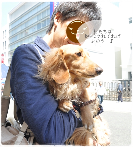 1205254.jpg