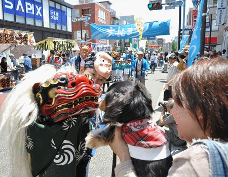 1205257.gif