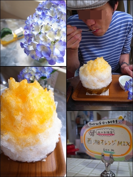 1206036.jpg