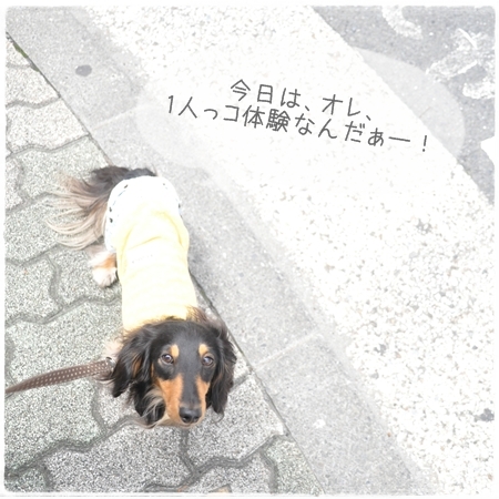 1206292.jpg