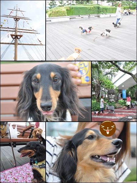 1206295.jpg