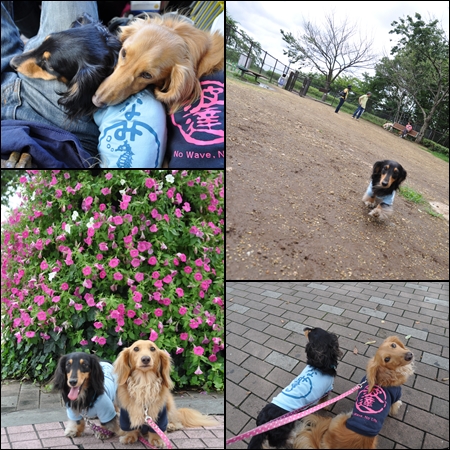 1207221.jpg