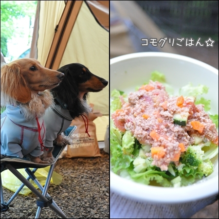 1207227.jpg