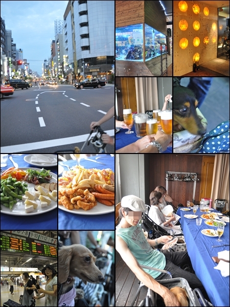 1207269.jpg