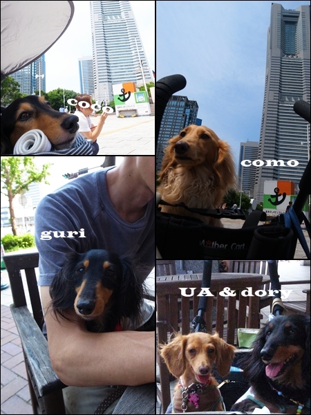 1208091.jpg