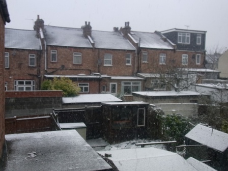 snow.jpg