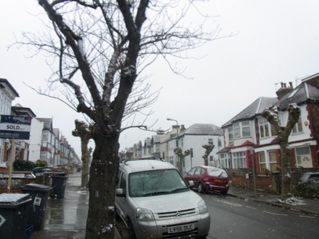 snow2.jpg