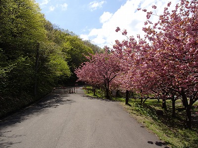 P5030028.jpg