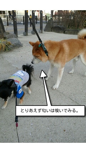 CA3K0137-picsay.jpg