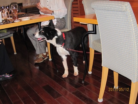 IMG_11861.jpg