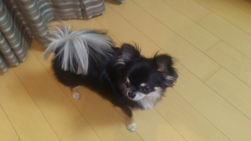 fc2_2013-04-03_16-36-16-970.jpg
