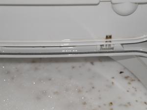 PB210123洗濯機カビ